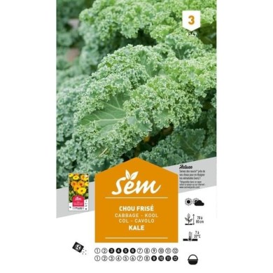 Chou Kale (sachet)