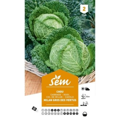 Chou de Milan Gros des Vertus (sachet)