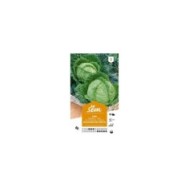 Chou de Milan Gros des Vertus (sachet)