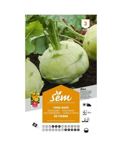 Chou rave de Vienne (sachet)