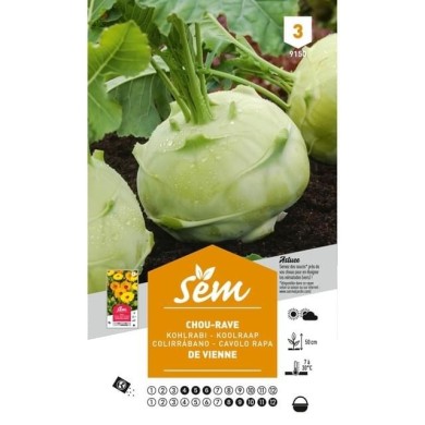 Chou rave de Vienne (sachet)