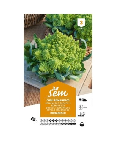 Chou Romanesco (sachet)