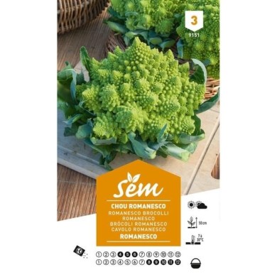 Chou Romanesco (sachet)