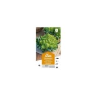 Chou Romanesco (sachet)