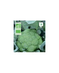 Chou Brocoli Calabrese Natalino Bio