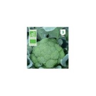 Chou Brocoli Calabrese Natalino Bio