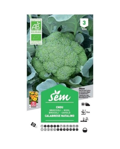 Chou Brocoli Calabrese Natalino Bio (sachet)