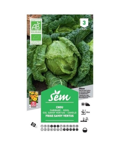 Chou vert frisé Bio (sachet)