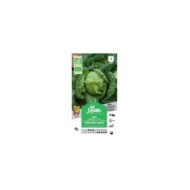 Chou vert frisé Bio (sachet)