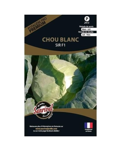 Chou blanc Sir F1 (sachet)