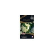 Chou blanc Sir F1 (sachet)