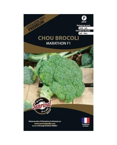 Chou brocoli Marathon HF1 (sachet)