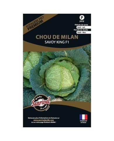 Chou de Milan Savoy King HF1 (sachet)