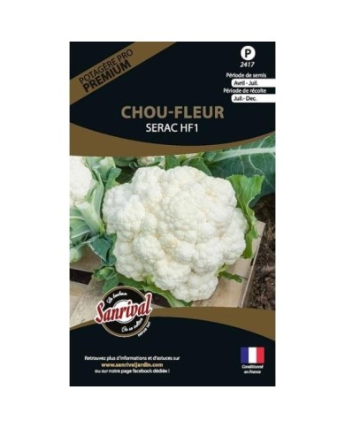 Chou-fleur SERAC HF1 (sachet)