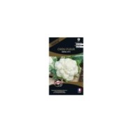 Chou-fleur SERAC HF1 (sachet)