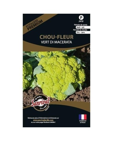 Chou-fleur vert Di Macerata (sachet)