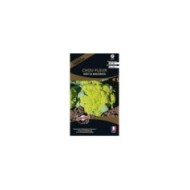 Chou-fleur vert Di Macerata (sachet)
