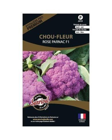 Chou-fleur Rose Parmac HF1 (sachet)