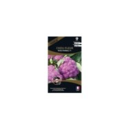 Chou-fleur Rose Parmac HF1 (sachet)
