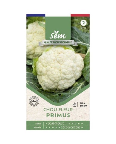 Chou fleur Primus (Automne) - Sachet de graines