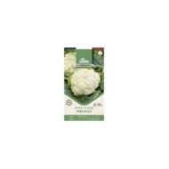 Chou fleur Primus (Automne) - Sachet de graines