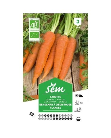 Carotte Flakkee (Colmar) Bio (sachet)