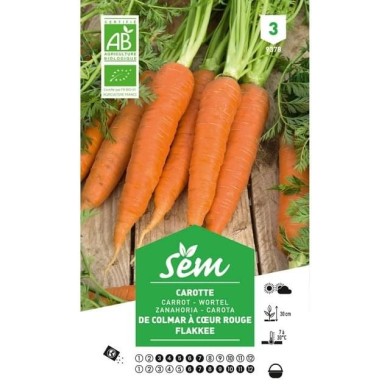 Carotte Flakkee (Colmar) Bio (sachet)