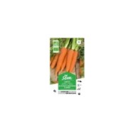 Carotte Flakkee (Colmar) Bio (sachet)