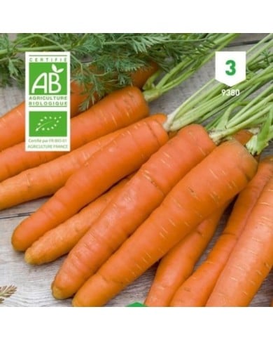 Carotte Nantaise Bio