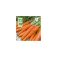 Carotte Nantaise Bio