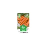 Carotte Nantaise Bio (sachet)