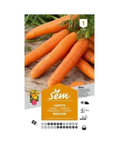 Carotte Berlicum (sachet)