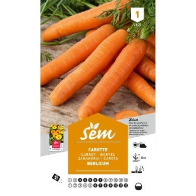 Carotte Berlicum (sachet)