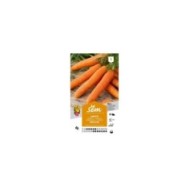 Carotte Berlicum (sachet)