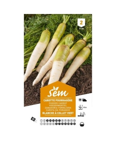 Carotte fourragère blanche à collet vert (sachet)