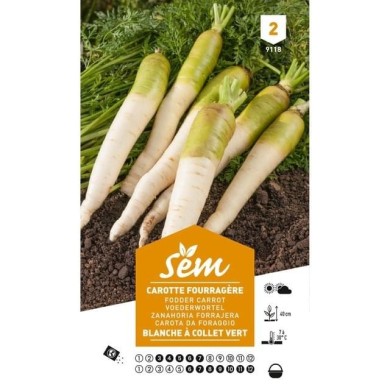 Carotte fourragère blanche à collet vert (sachet)