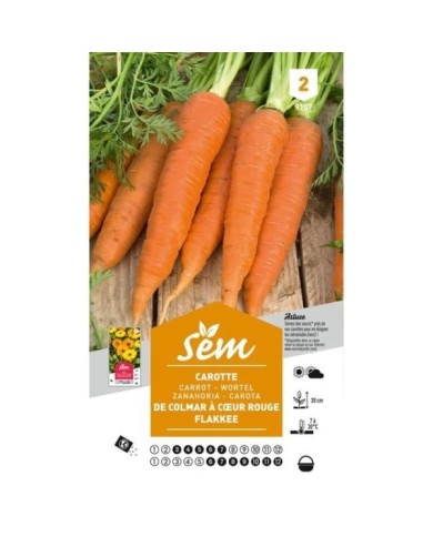 Carotte Flakkee (sachet)