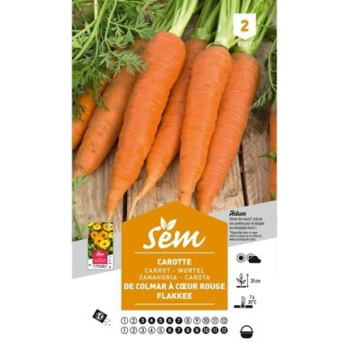 Carotte Flakkee (sachet)