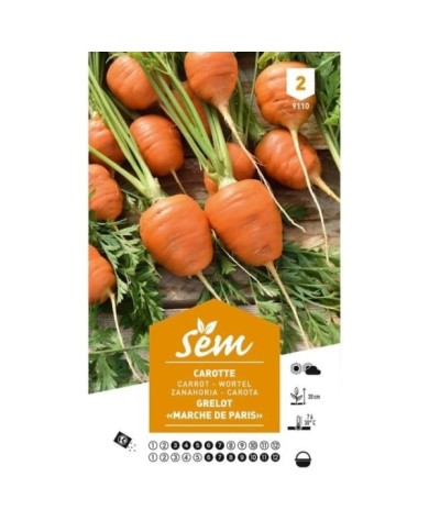 Carotte grelot Marché de Paris (sachet)
