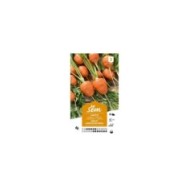 Carotte grelot Marché de Paris (sachet)