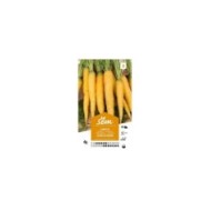 Carotte jaune du Doubs (sachet)