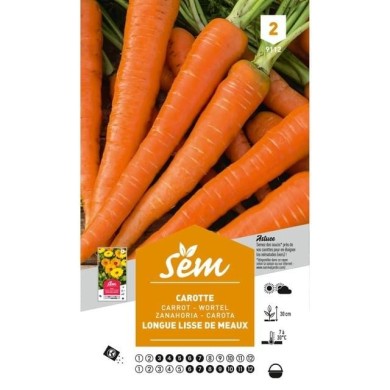 Carotte longue lisse de Meaux (sachet)