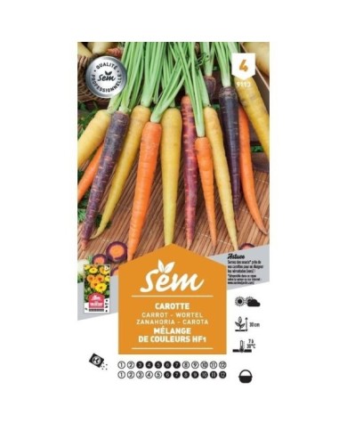 Carotte mélange de couleurs (sachet)