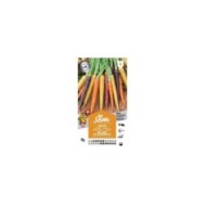 Carotte mélange de couleurs (sachet)