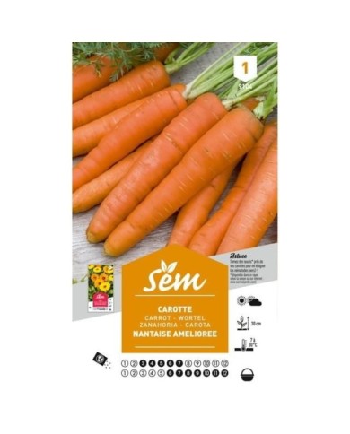 Carotte Nantaise (sachet)