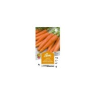 Carotte Nantaise (sachet)