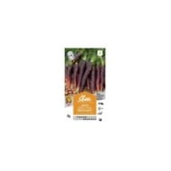 Carotte Purple Haze F1 (sachet)
