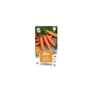 Carotte Santorin F1 (sachet)