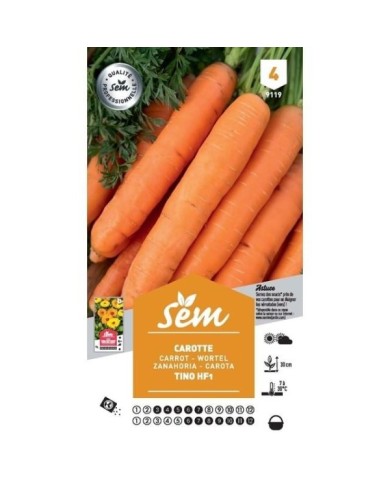 Carotte Tino F1 (sachet)