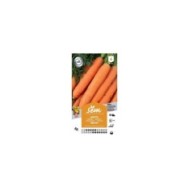 Carotte Tino F1 (sachet)